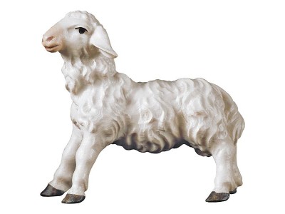 Ul. Lamm stehend color